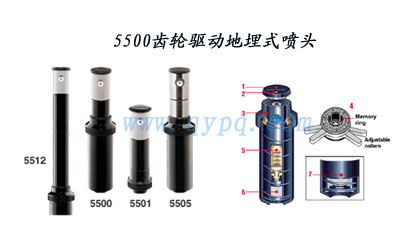 5500������������ʽ��ͷ021